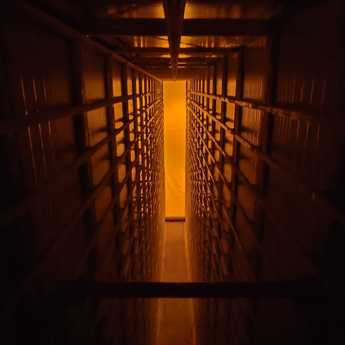 Carbonaide CO2 chamber